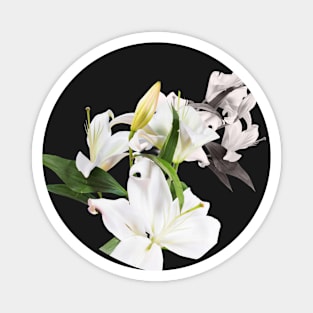 Tropical White Flowers Magnet